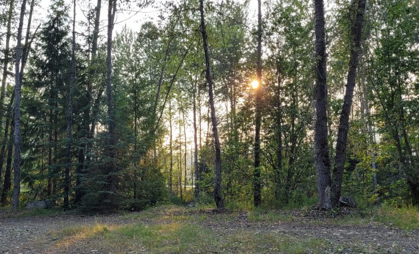 Home Salmo River Estates