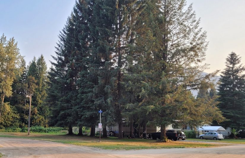 Home Salmo River Estates